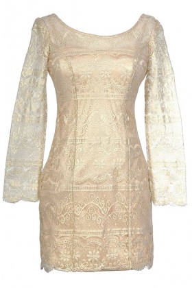 Golden Wishes Lace Overlay Designer Dress